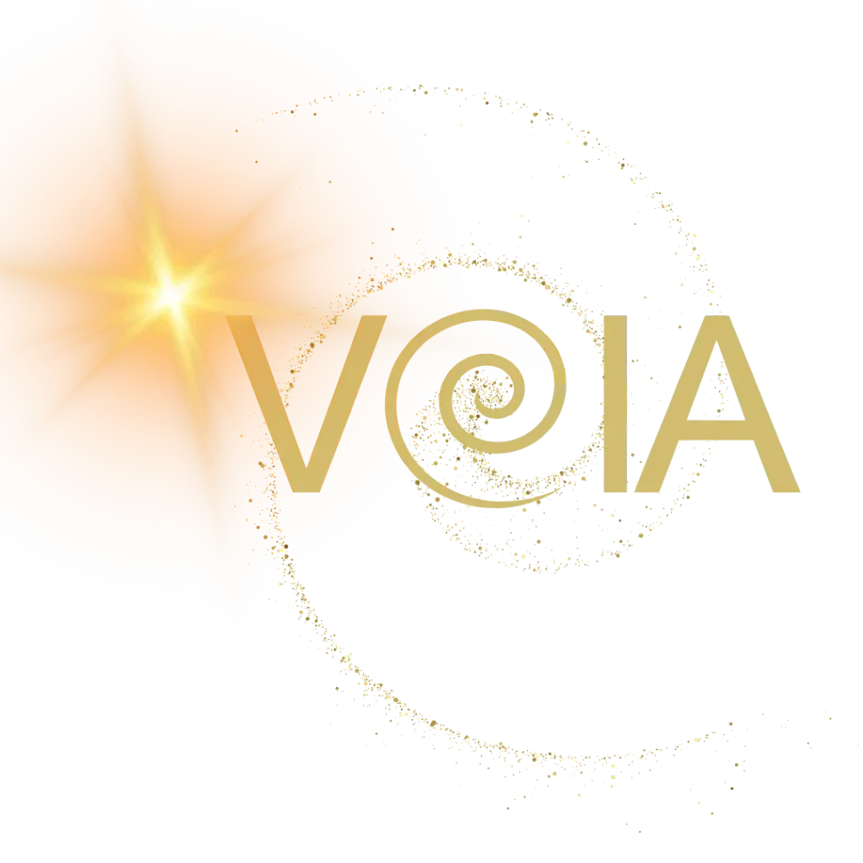 Logo aplikace VOIA – symbol vnitřní síly, klidu a podpory pro každého